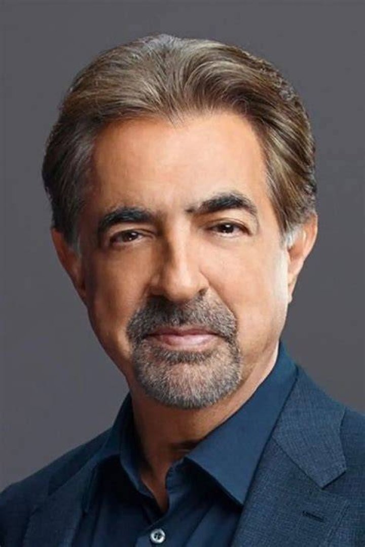 Joe Mantegna Photos Tv Series Posters and Cast