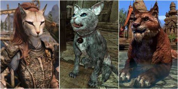 khajiit breeds The Elder Scrolls, Elder Scrolls Games, Elder Scrolls