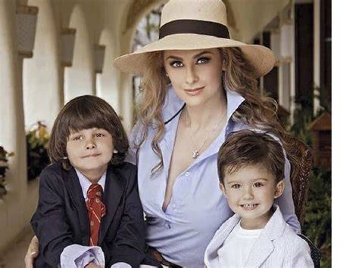 Las inesperadas declaraciones de Aracely Arámbula sobre los hijos que