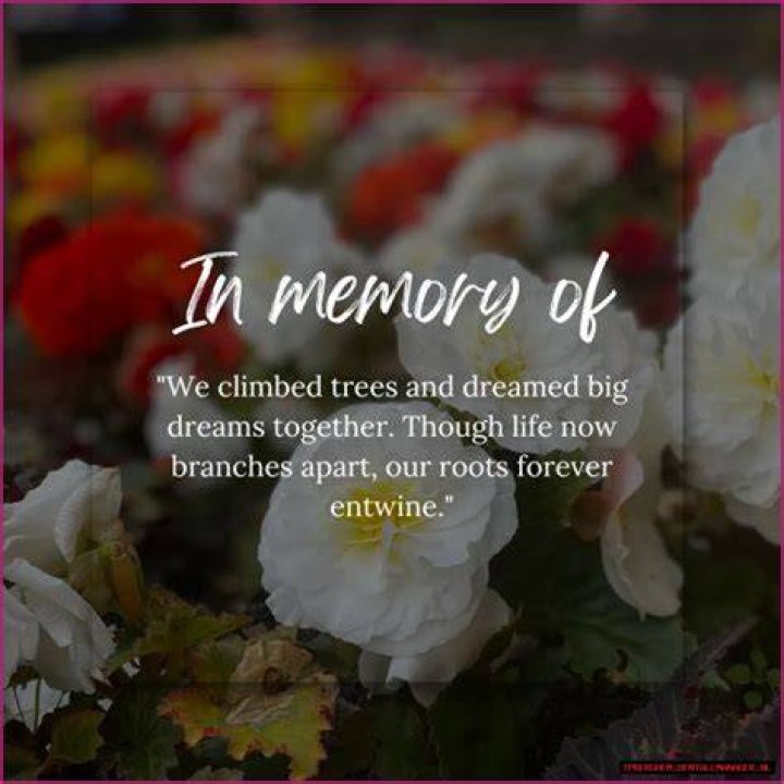 Lauren Collins Obituary: Remembering A Life Well-Lived