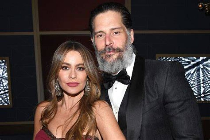 Learn More About Sofia Vergara's Husband