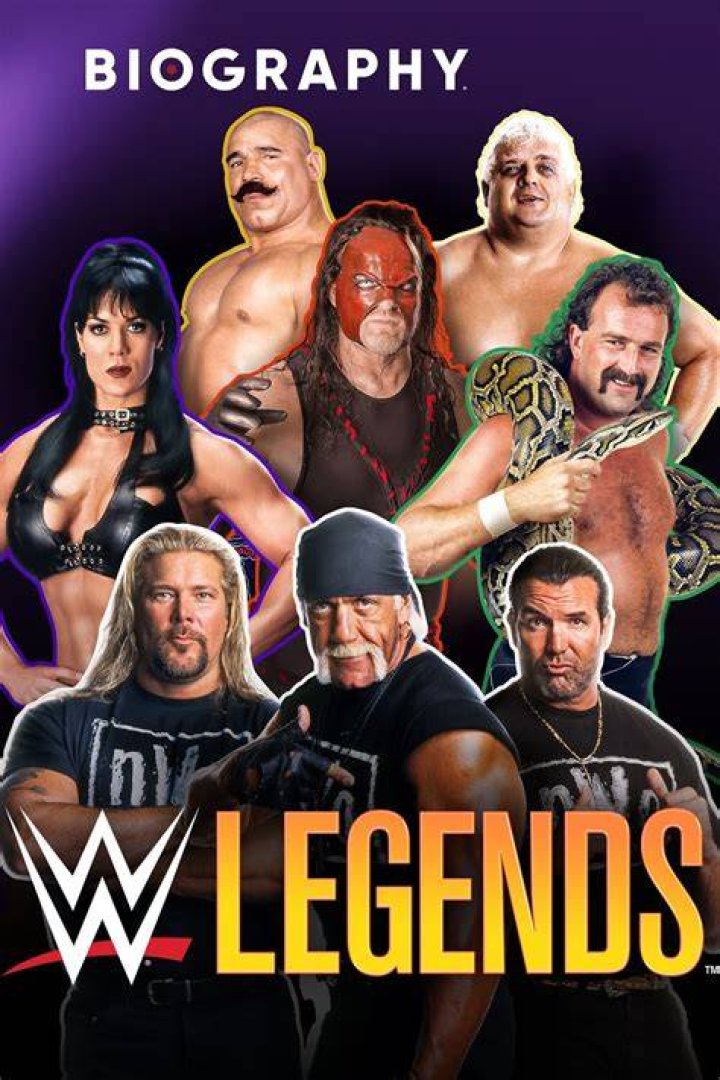 Legends And Titans: WWE Wrestlers Of The 1980s