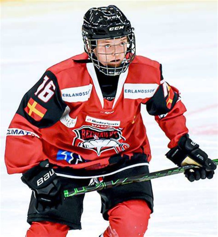 Linnéa Hansson Elite Prospects