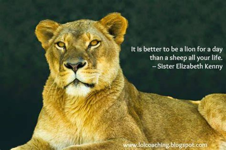 Lion And Lioness Quotes Facebook Best Of Forever Quotes