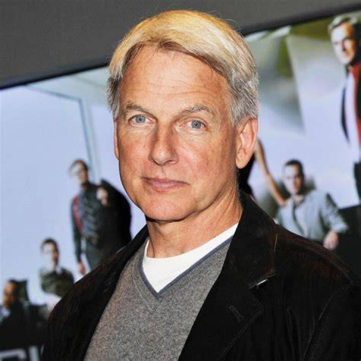Mark Harmon: The Ultimate Guide To His Life And Career