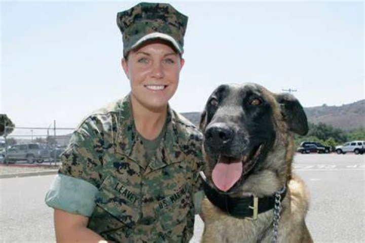 Matt Morales And Megan Leavey: The Unbreakable Bond Of A Marine And His Dog