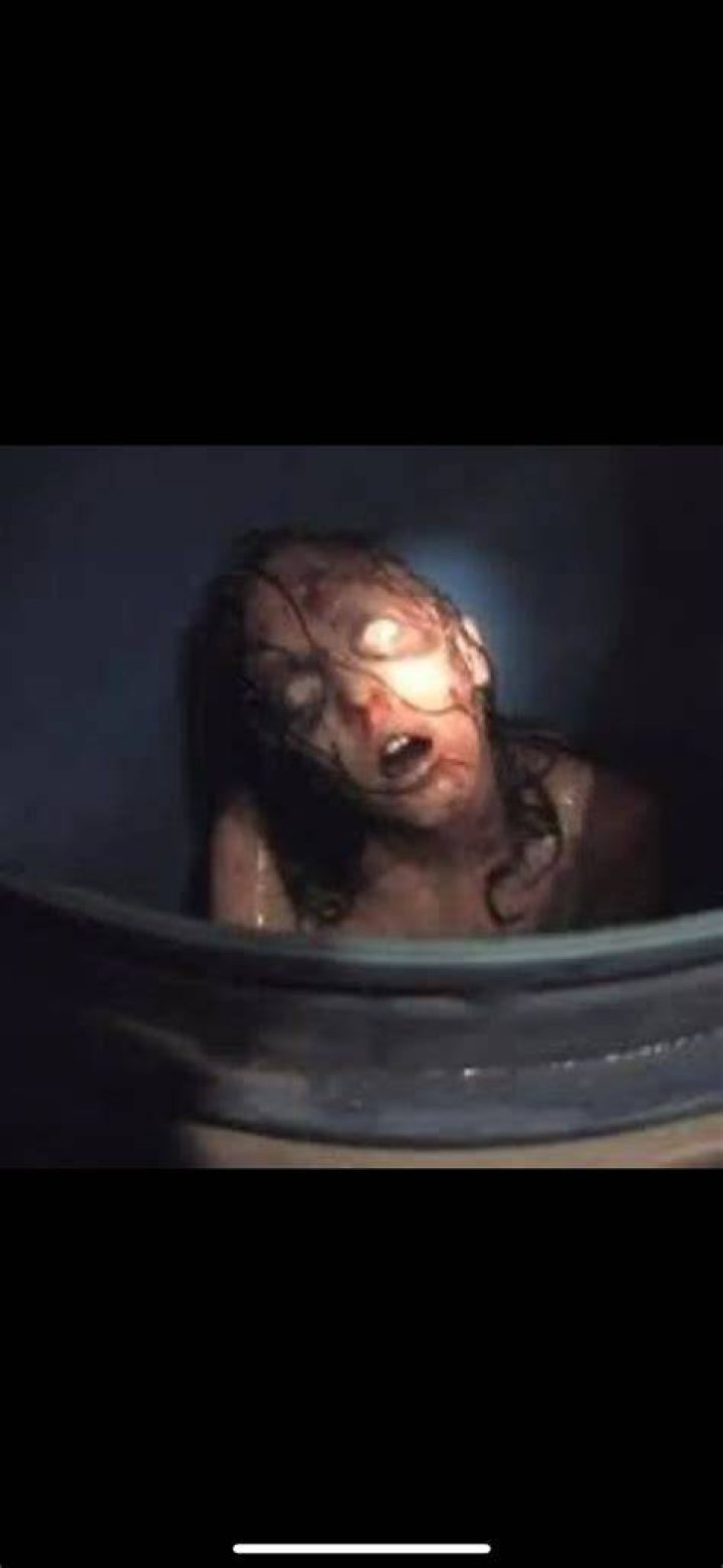 Megan Is Missing: The Barrel Scene That Shook Viewers