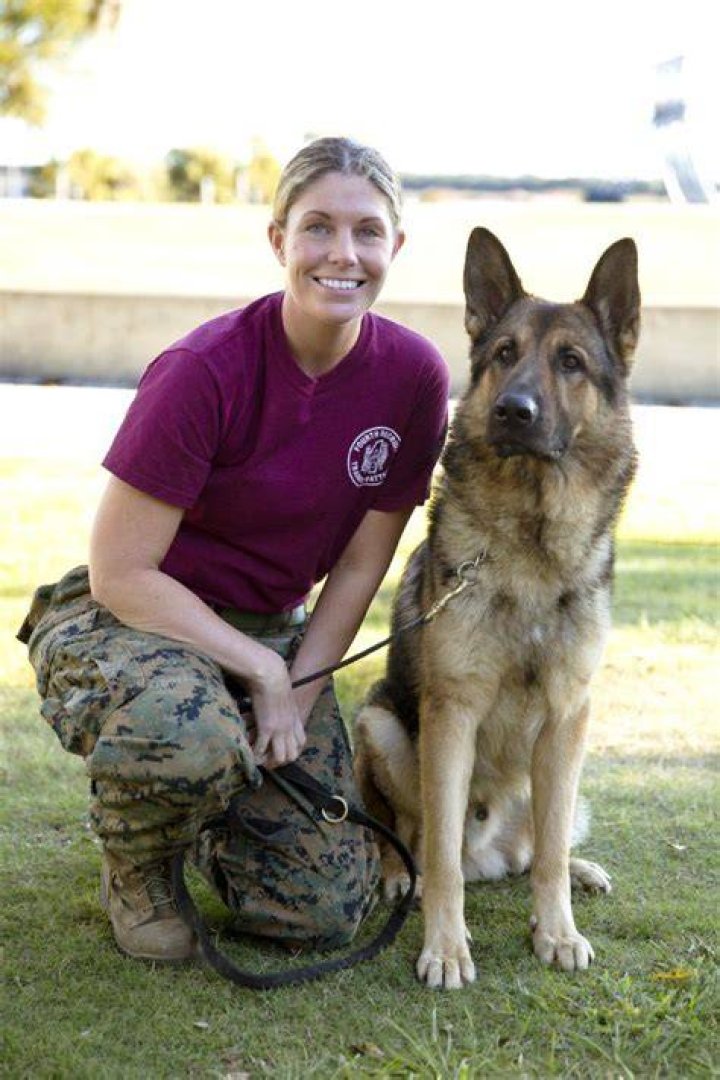 Megan Leavey: A Soldier's Journey Of Love And Sacrifice