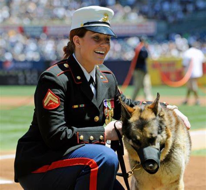 Megan Leavey Marriage: Uncovering The Inspiring Love Story