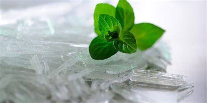 Menthol’s characteristic minty scent and coolness makes it a versatile