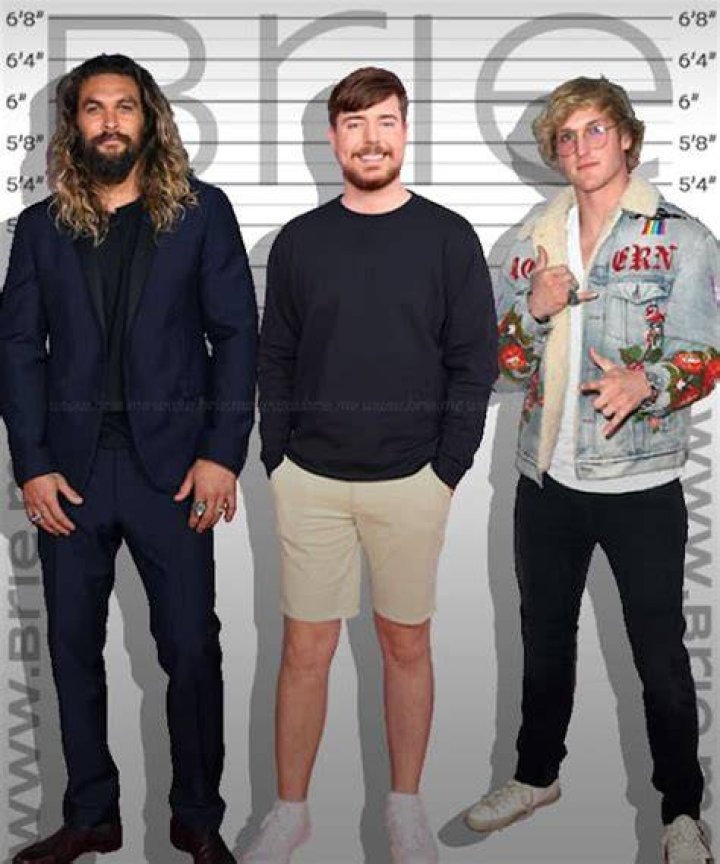 MrBeast's Height And Weight: Unveiling The Giant's Stature