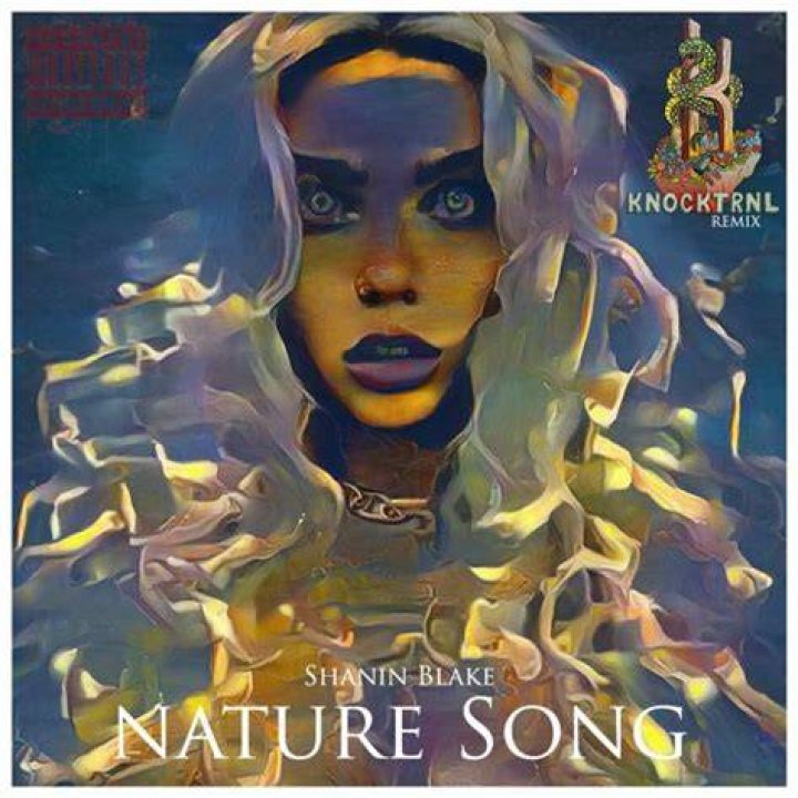 Nature Song Single by Shanin Blake on Apple Music