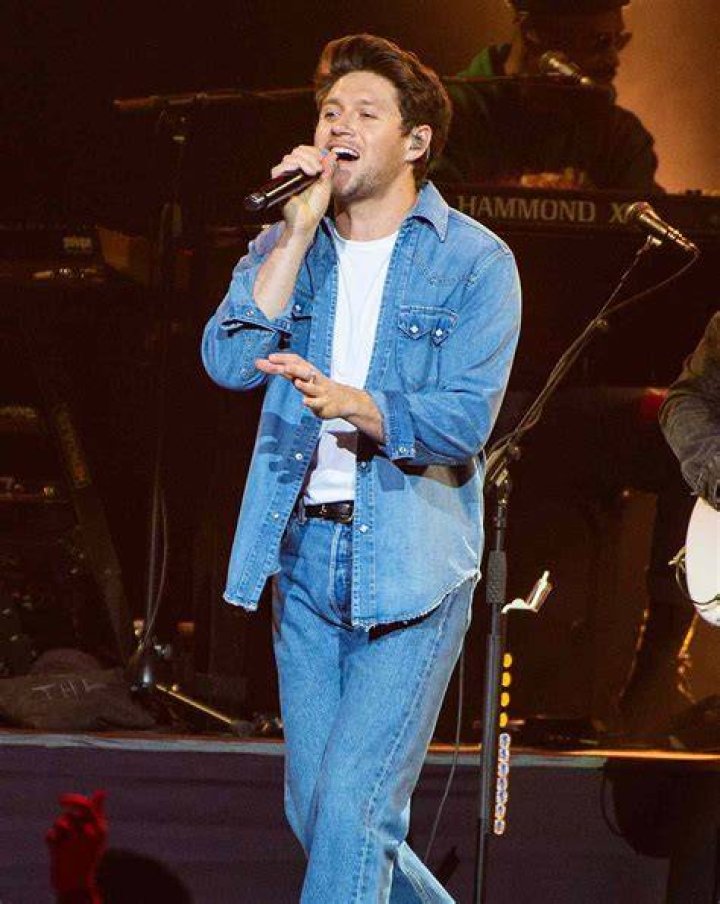 Niall Horan's Girlfriend Influenced A Song On His New Album