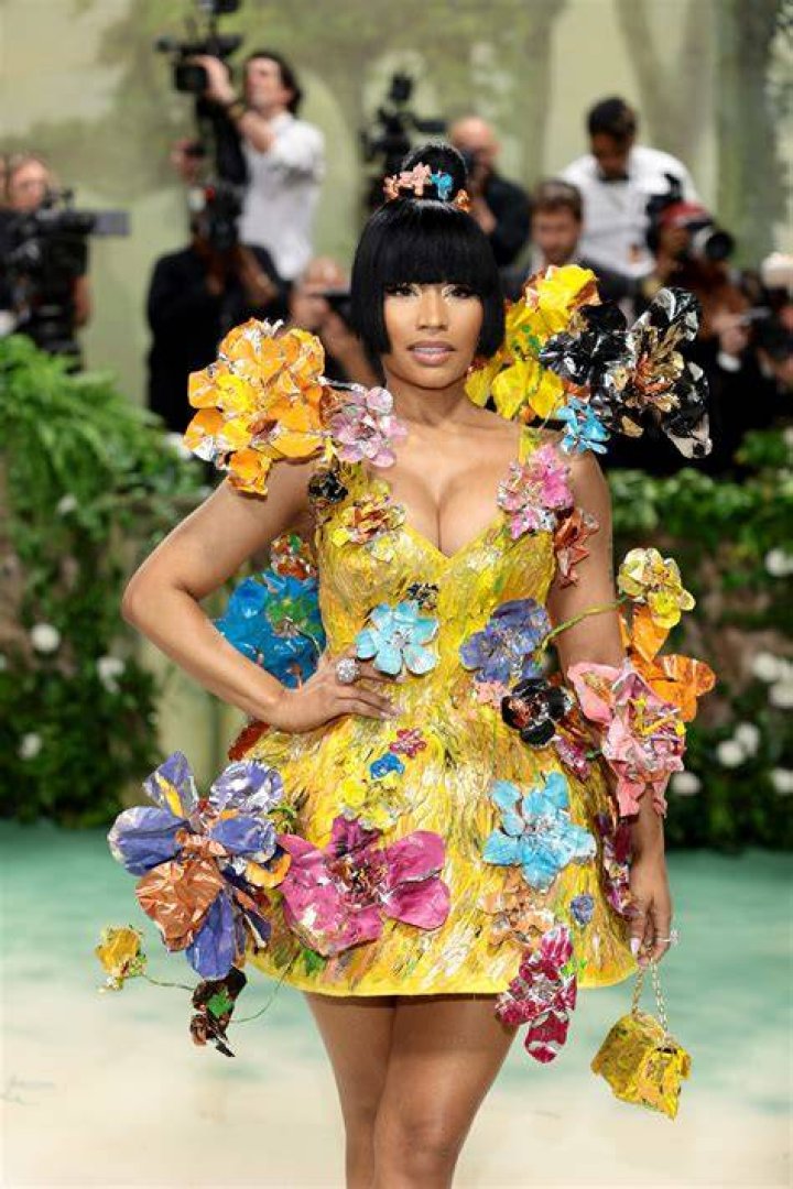 Nicki Minaj's Husband Petty Pleads Guilty to Failure to