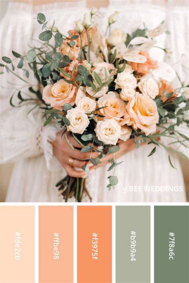 Peach and green color palette Peach and teal color scheme