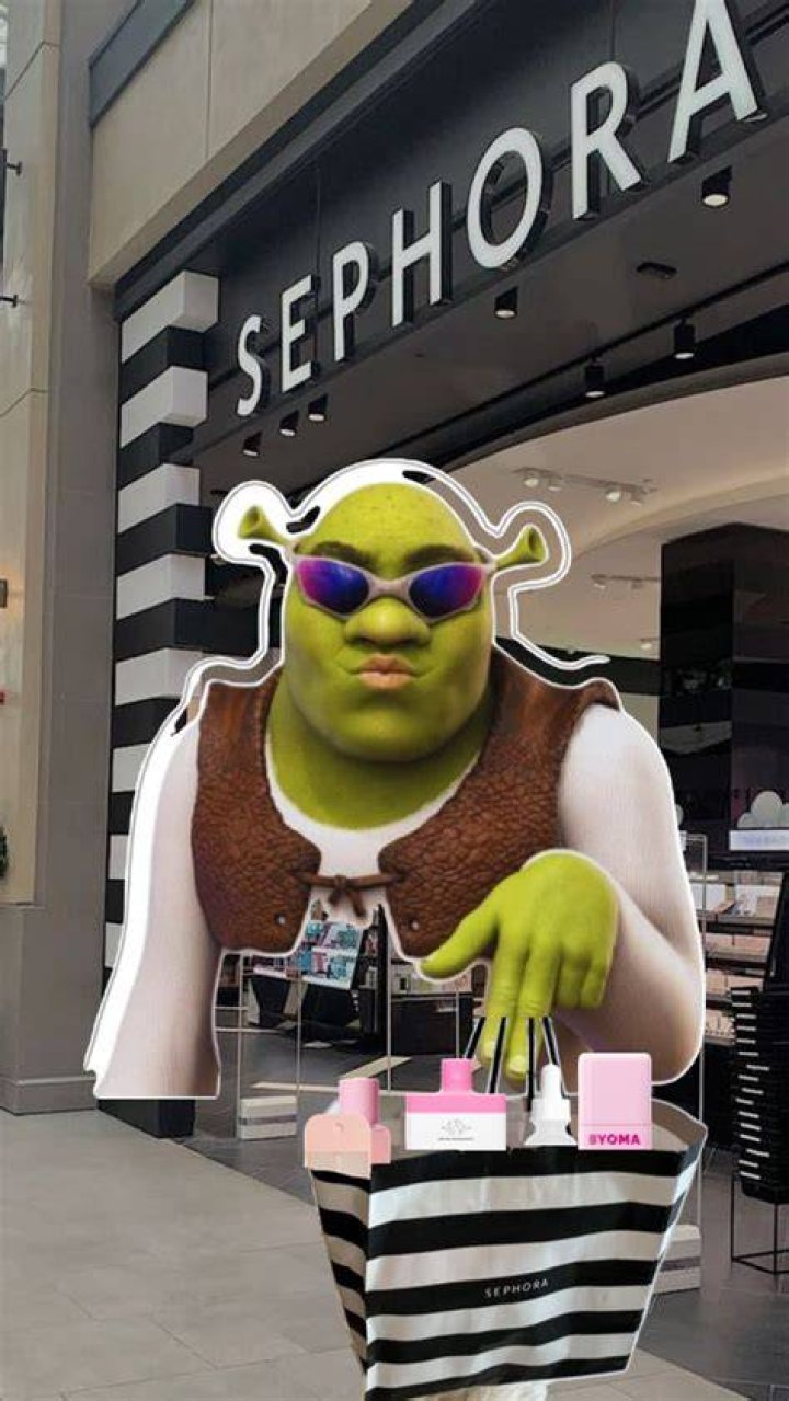Pin by Sephora on Shrek Shrek, Shrek costume, Incredible film