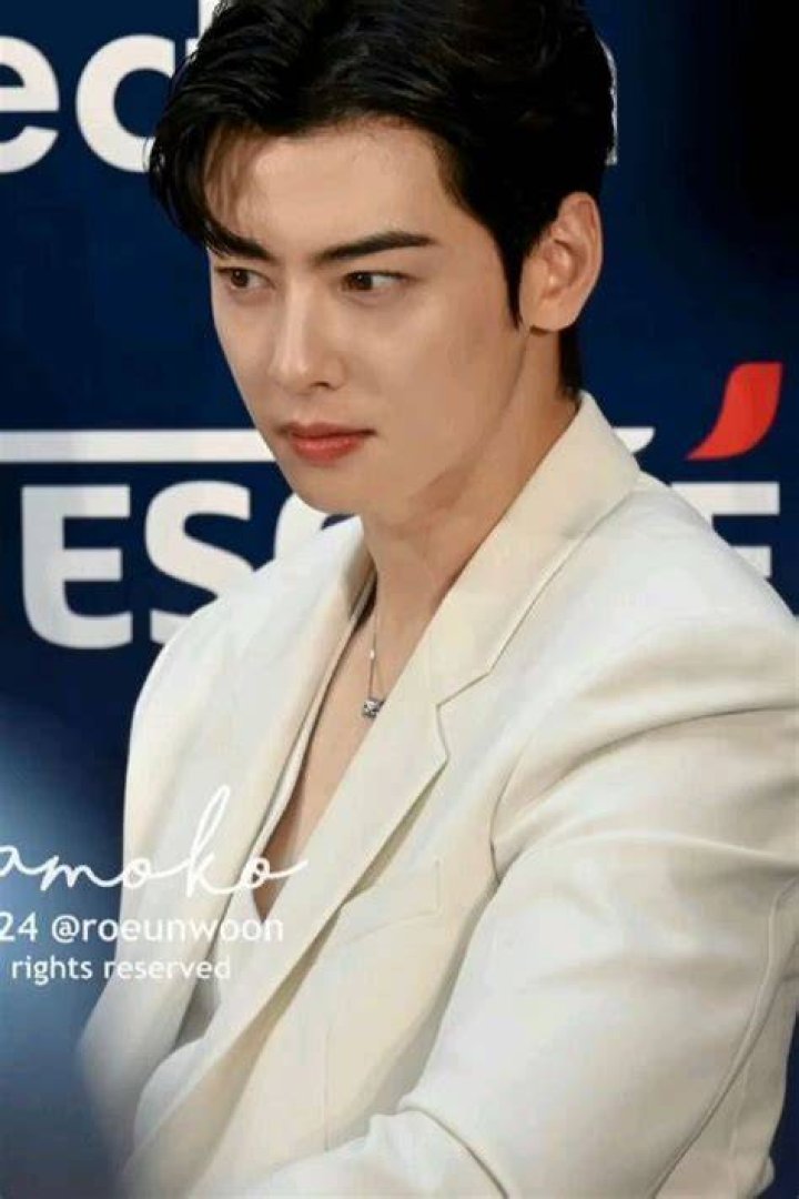 Pin on Cha Eunwoo차은 우