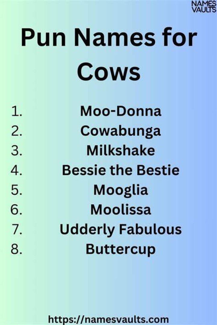 Pun Cow Names