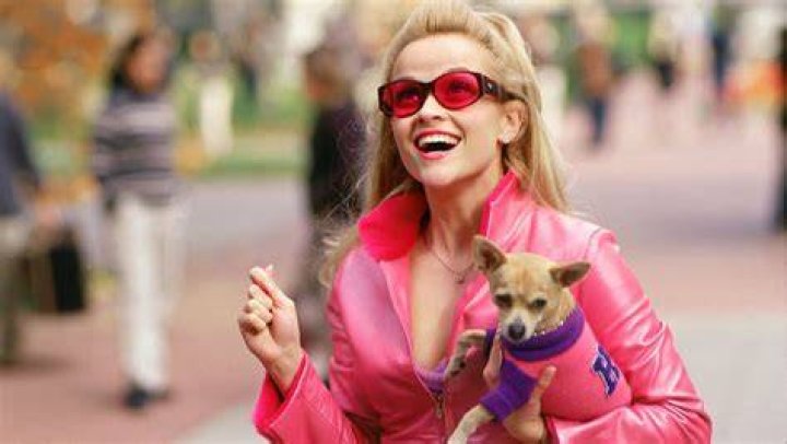 Review “Legally Blonde” The Viewer's Commentary
