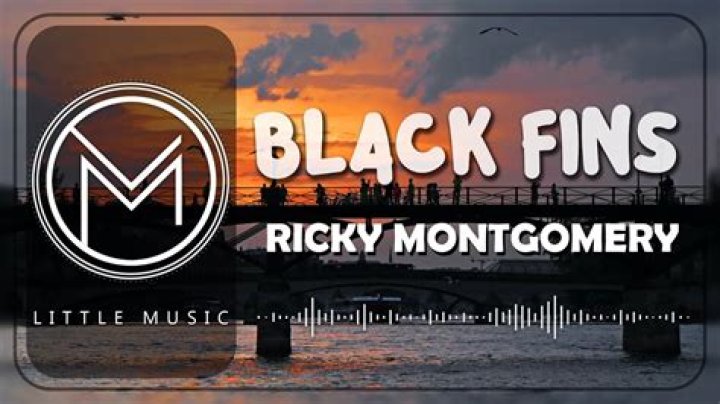 Ricky Montgomery Black Fins Chords Tabs Lyrics