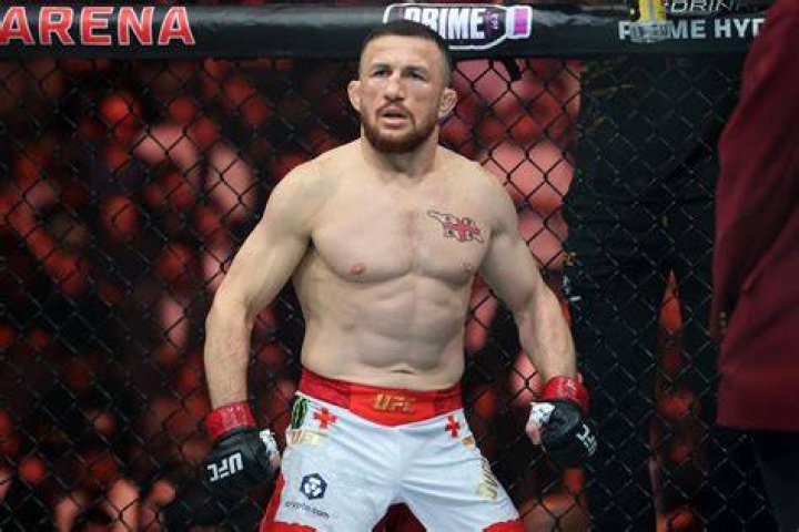 Rising Stars In The UFC