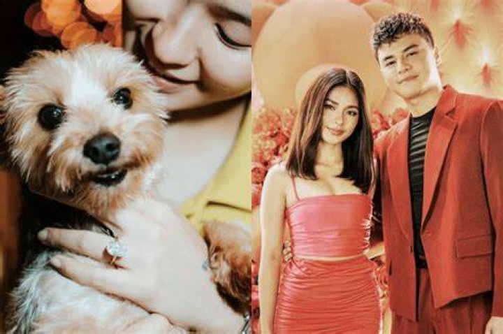 Ronnie Alonte calls Loisa Andalio his ‘future wife’ ABSCBN News