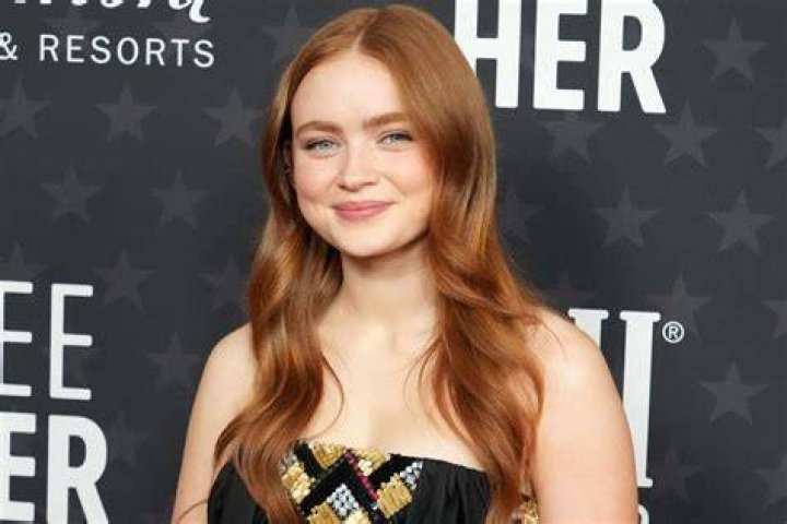 Sadie Sink parents Every Detail you need to know about Daily