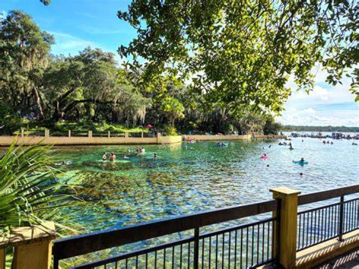 Skip The Lines At Ocala's Top Attractions With Ocala FL Skip The Games