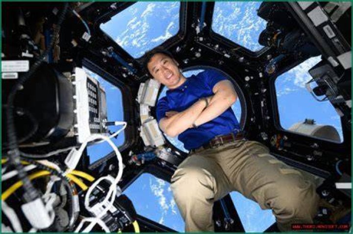 Surprising Discoveries And Intriguing Insights