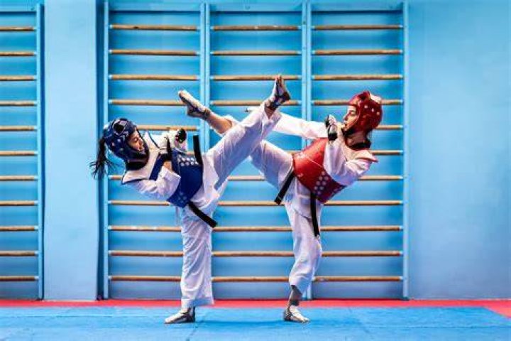 Tainl’hermitage/TournonSurRhône Le Taekwondo a fêté ses jeunes