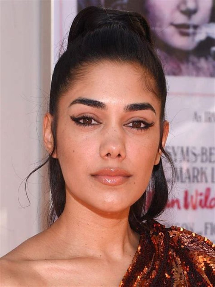 Tasie Dhanraj (Lawrence) House of Anubis Wiki FANDOM powered by Wikia