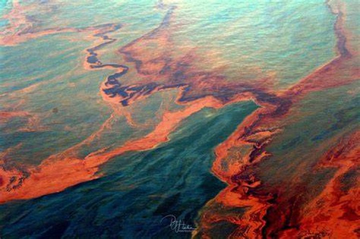 The BP Gulf Of Mexico Disaster: A Tragic Oil Spill