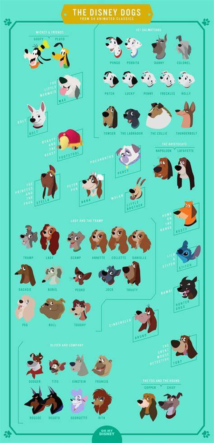 The Disney Dogs Every Cute Canine From the 54 Animated Classics