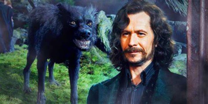 The Essential Guide To Becoming An Animagus: Unlock Your Animal Transformation