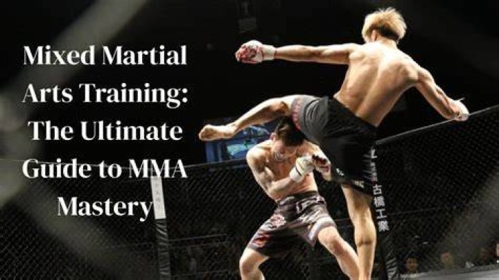 The Essential Guide To MMA Websites: Your Ultimate Resource