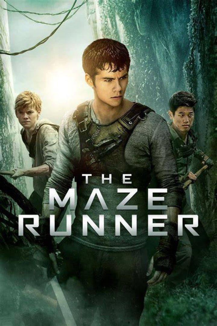 The Intriguing Maze Runner Film Series: Navigating The Maze And Beyond