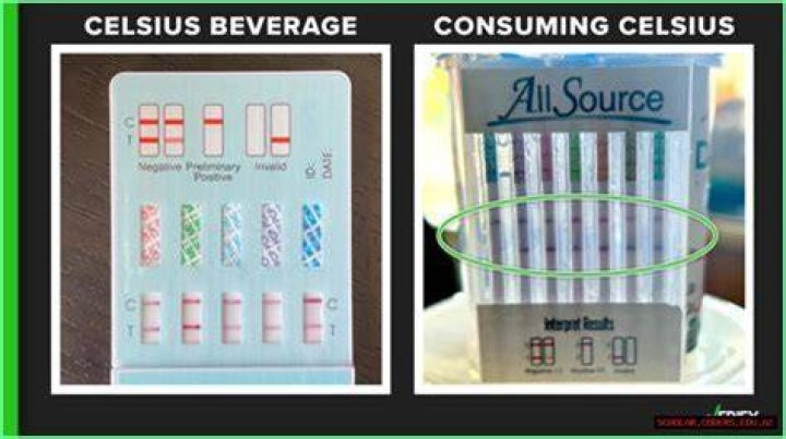 The Ultimate Guide To Celsius Drink Drug Tests