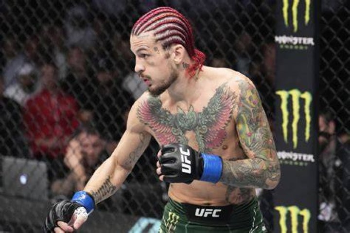 The Ultimate Guide To Danya Sean O'Malley: Rising Star In The UFC