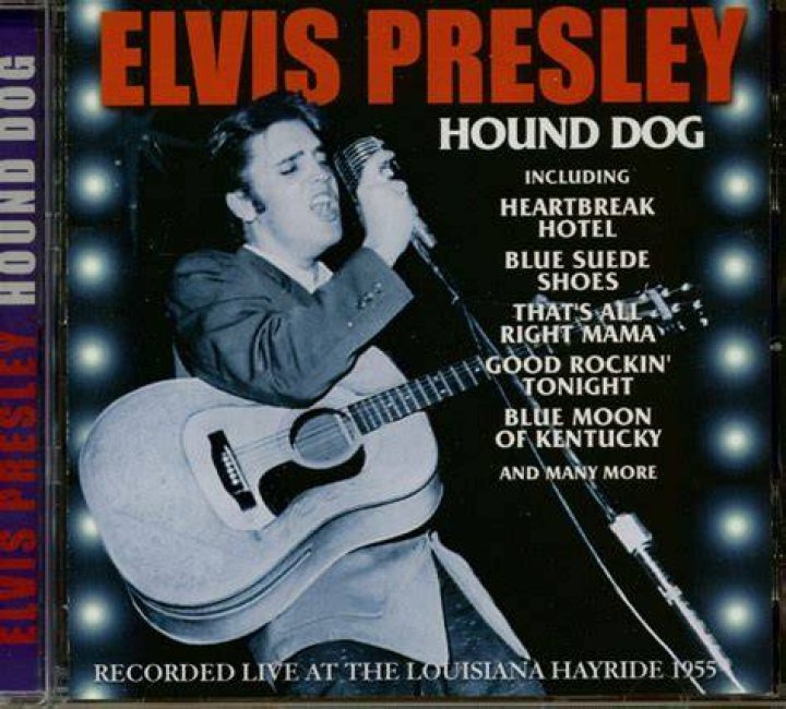 The Ultimate Guide To Elvis Scoobie: Uncovering The Hound Dog's Secret Groove