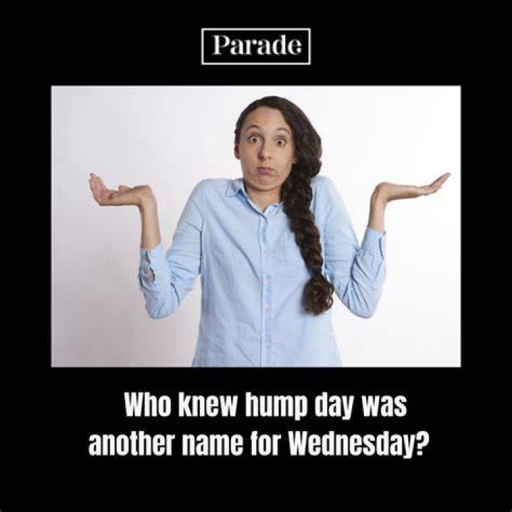 The Ultimate Guide To Hilarious Hump Day Memes For Wednesdays