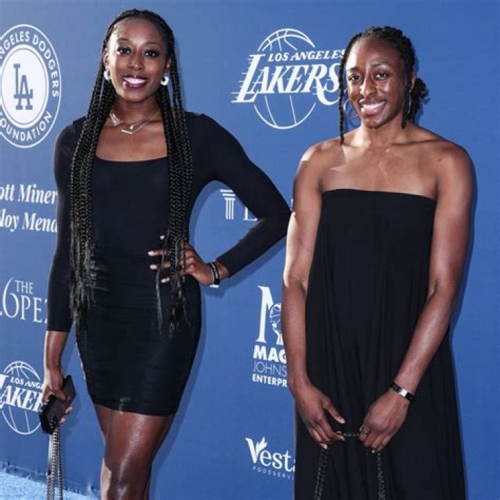 The Ultimate Guide To Nneka Ogwumike's Partner