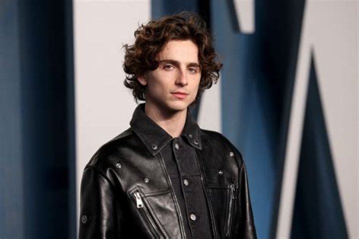 Timoth&eacute;e Chalamet's 10 Best Movies (According To Rotten Tomatoes)