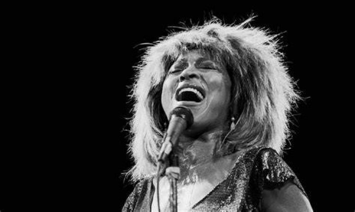 Tina Turner's DaughterinLaw Afida Puts Her Enormous Cleavage on