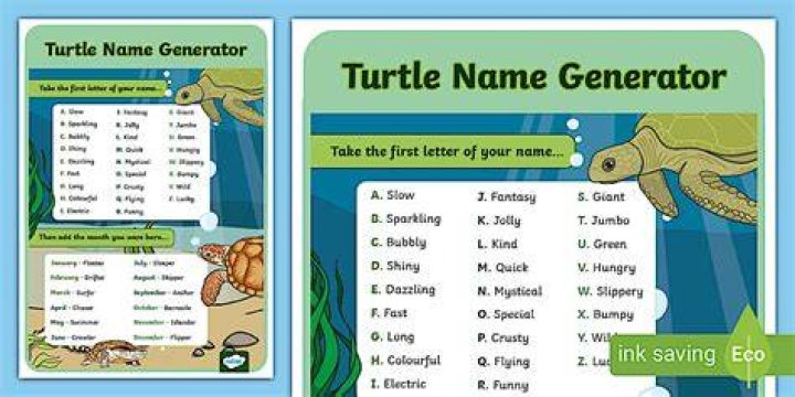 Tortoise Name Generator
