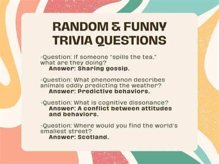 Trivia & Fun