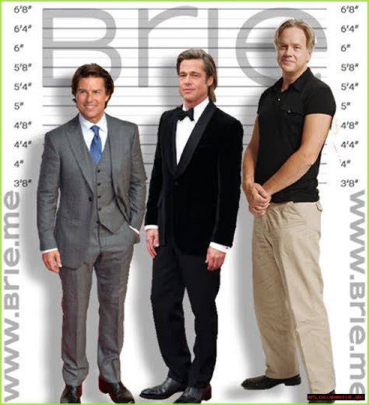 Ultimate Guide To Tim Robbins' Height: Measurements And Statistics