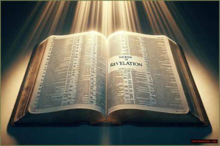 Uncovering Family Insights And Surprising Revelations