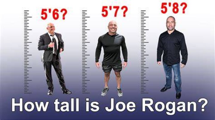 Uncovering His Weight And Height