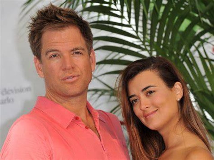 Uncovering The Age Of Cote De Pablo's Child