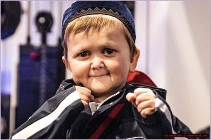 Uncovering The Age Of Hasbulla Magomedov: A Comprehensive Guide